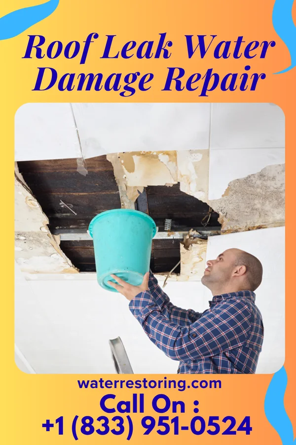 Roof Leak Water Damage Repair in Lauderdale Lakes, WI